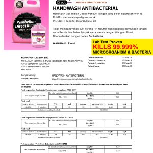 Sabun Pencuci Tangan Antibacterial (Handwash) - Image 2